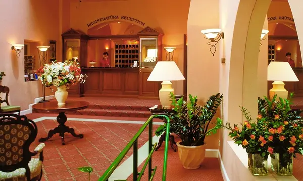 The Narutis Hotel hotel in ヴィリニュス